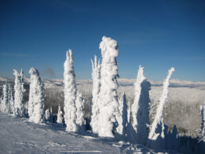 snow ghosts on Big Mountain