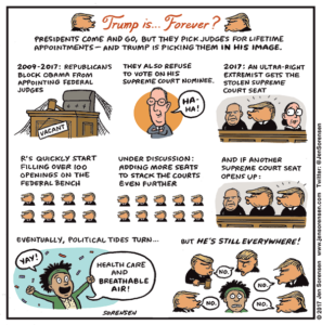 Cartoon about Trump judicial nominees
