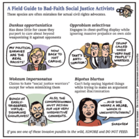 A Field Guide to Bad-Faith Social Justice Activists