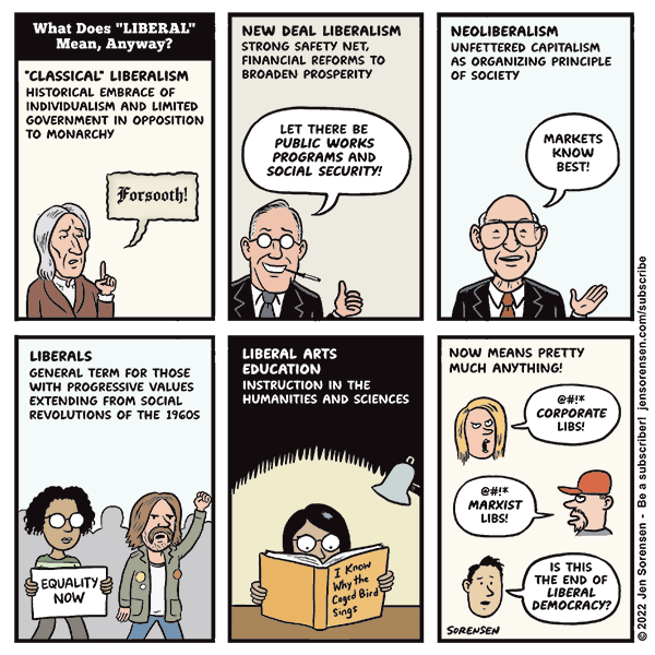 What Does Liberal Mean Anyway Jen Sorensen