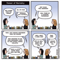 Veneer of Normalcy